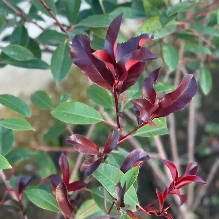 Vakantiehuis Locazione Turistica A Casa Di Viola Orvieto
